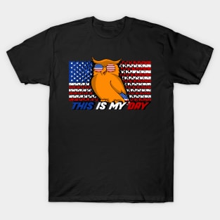 America Shirt 4th of July Patriotic T-shirt holiday T-Shirt